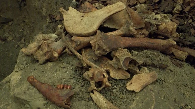 Charlottenhöhle | © Hänle Junginger Maurer