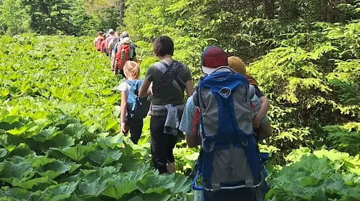 Tannheimer Tal | © Hänle Junginger Maurer