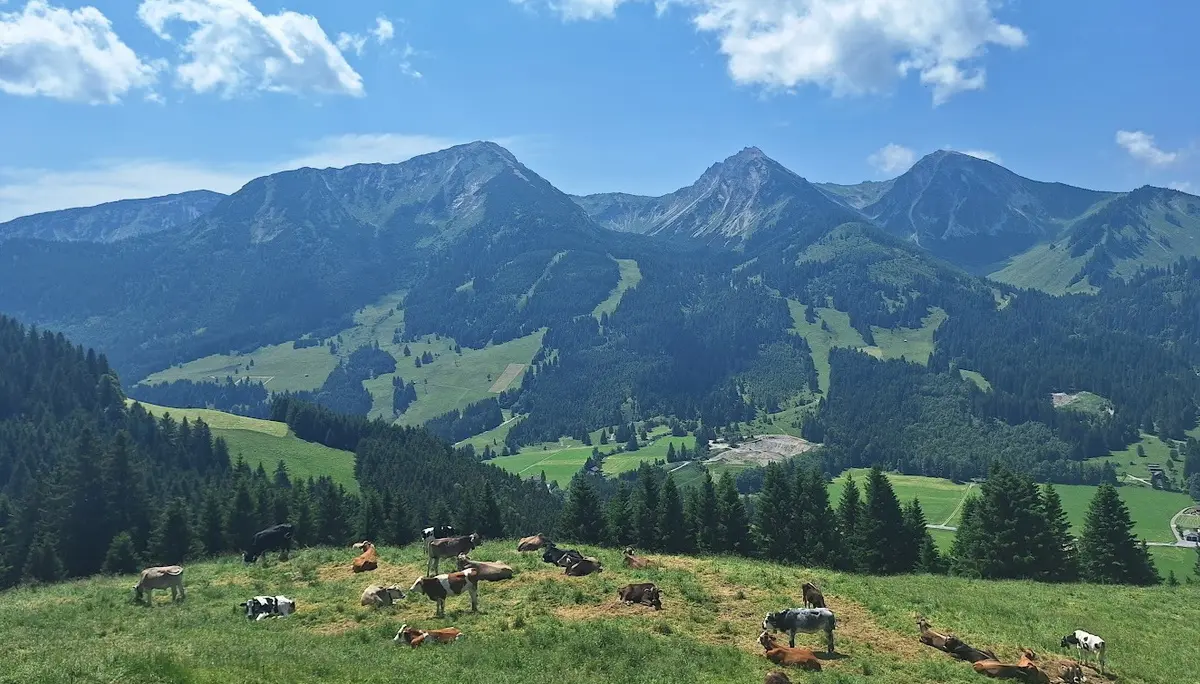Tannheimer Tal | © Hänle Junginger Maurer