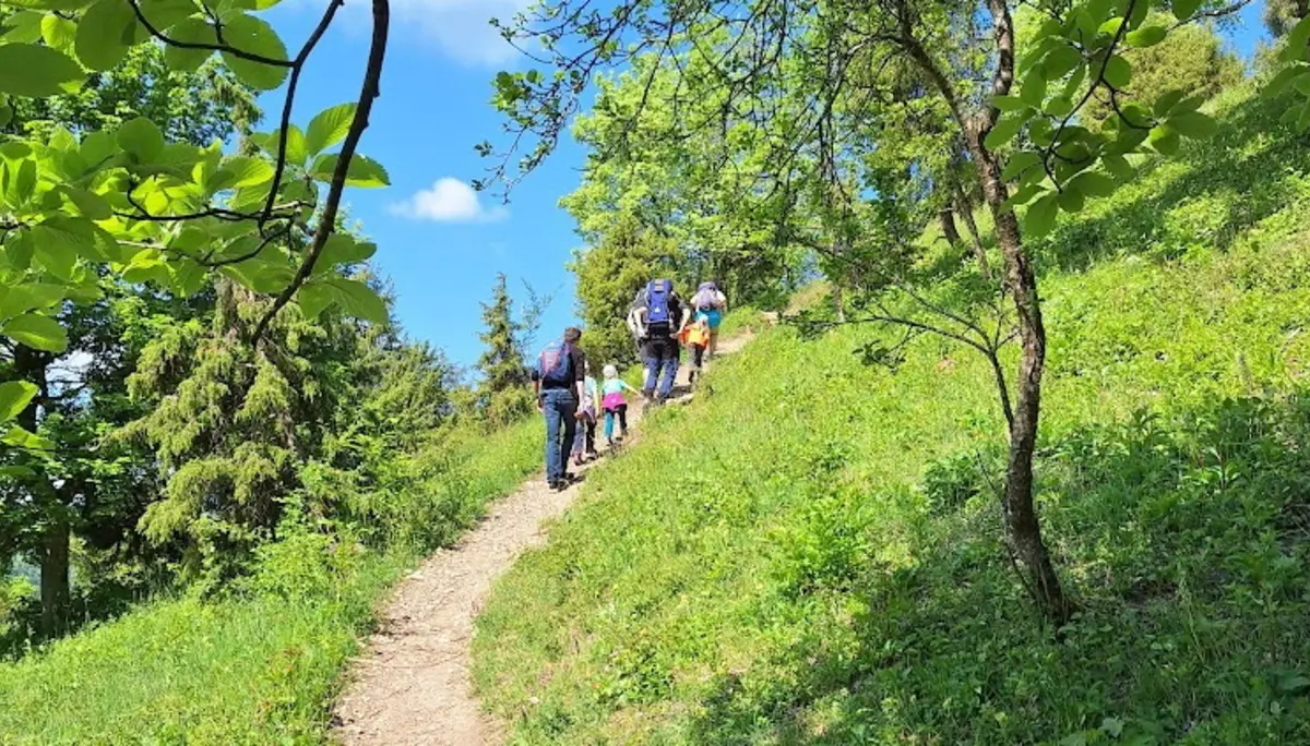 Wasserberghaus | © Hänle Junginger Maurer