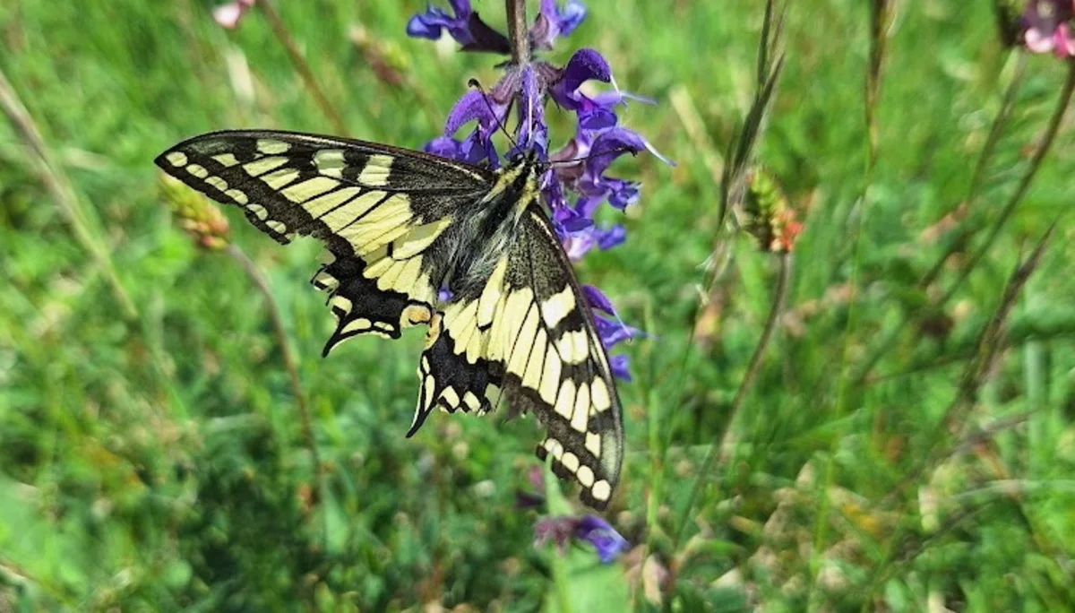 Wasserberghaus | © Hänle Junginger Maurer