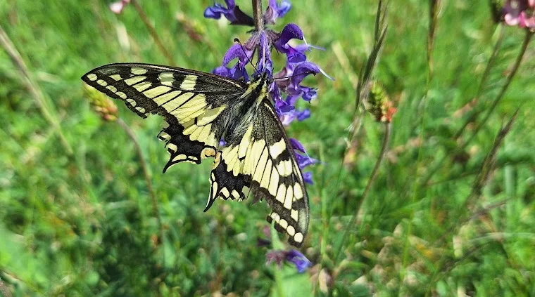 Wasserberghaus | © Hänle Junginger Maurer