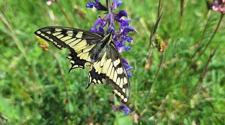 Wasserberghaus | © Hänle Junginger Maurer