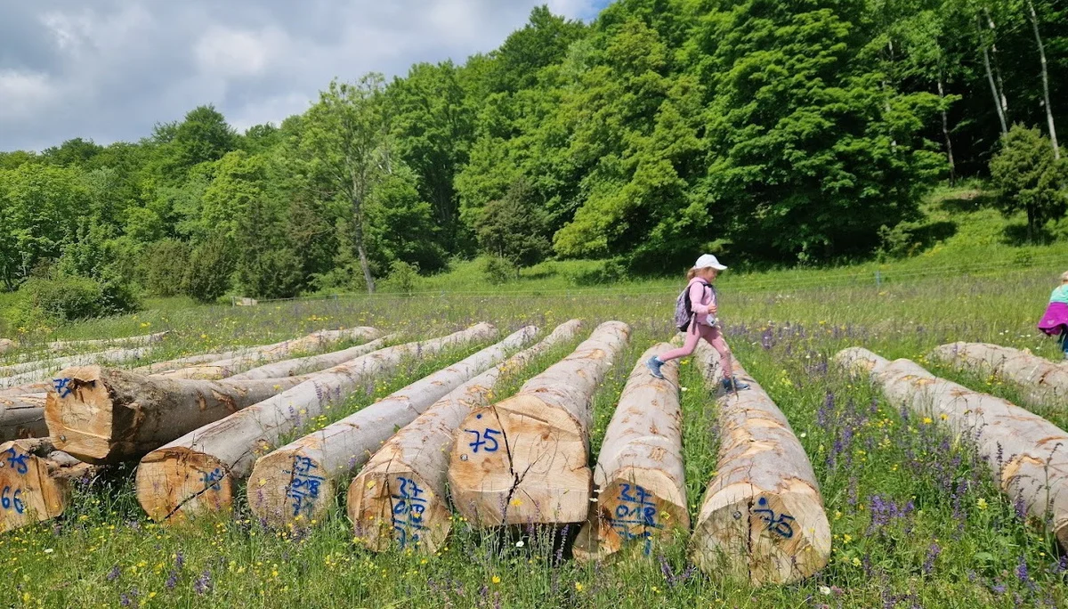 Wasserberghaus | © Hänle Junginger Maurer