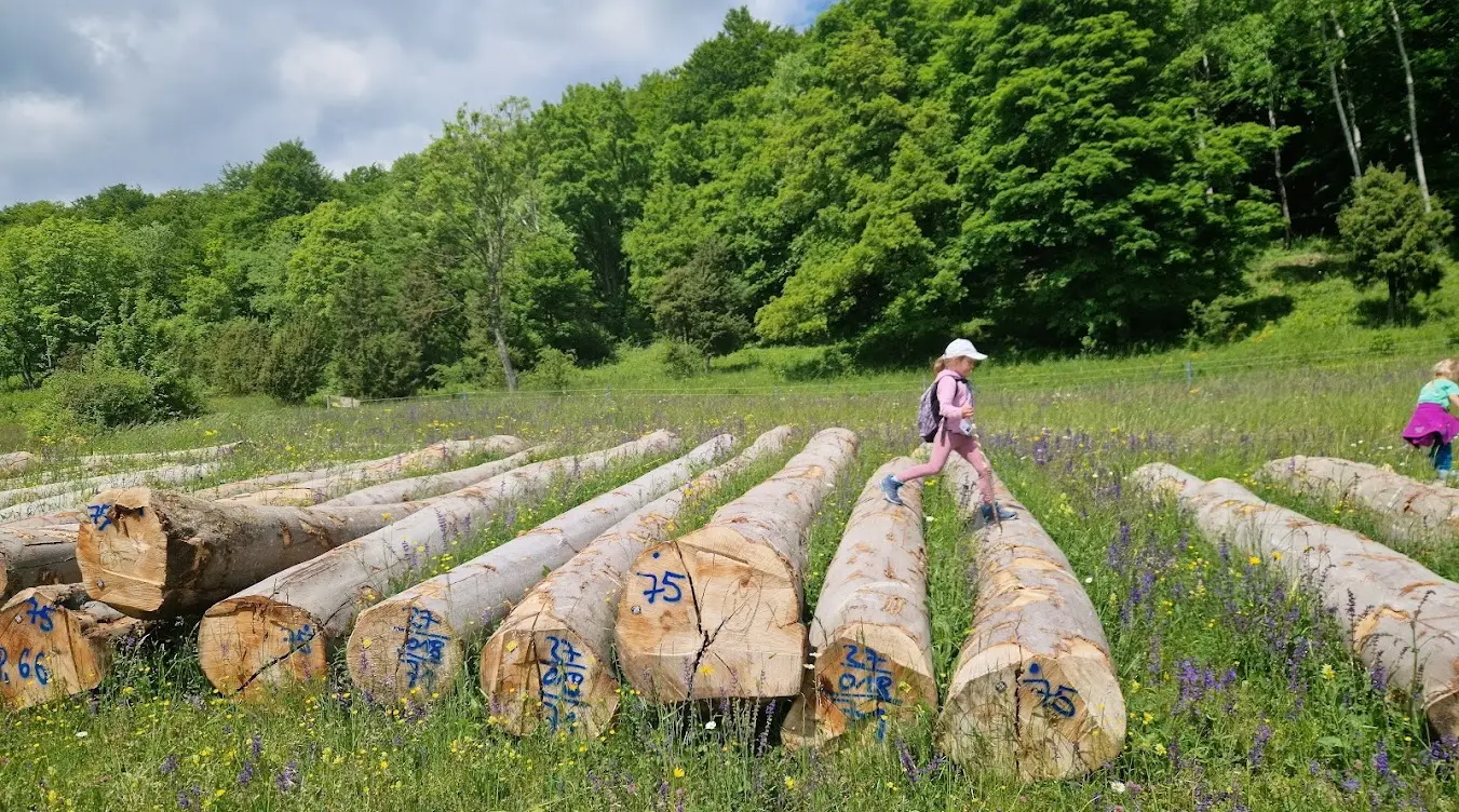 Wasserberghaus | © Hänle Junginger Maurer