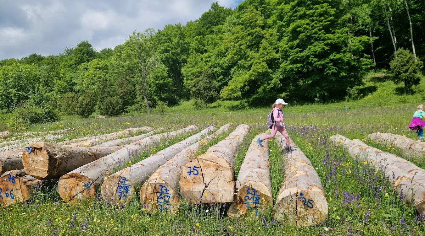 Wasserberghaus | © Hänle Junginger Maurer