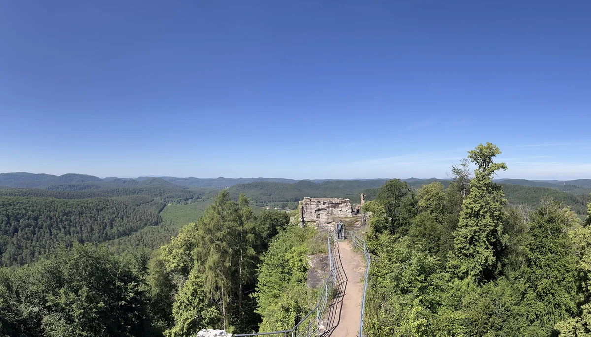 Rundblick vom höchsten Punkt der Burgruine Falkenstein | © Holger Homberg