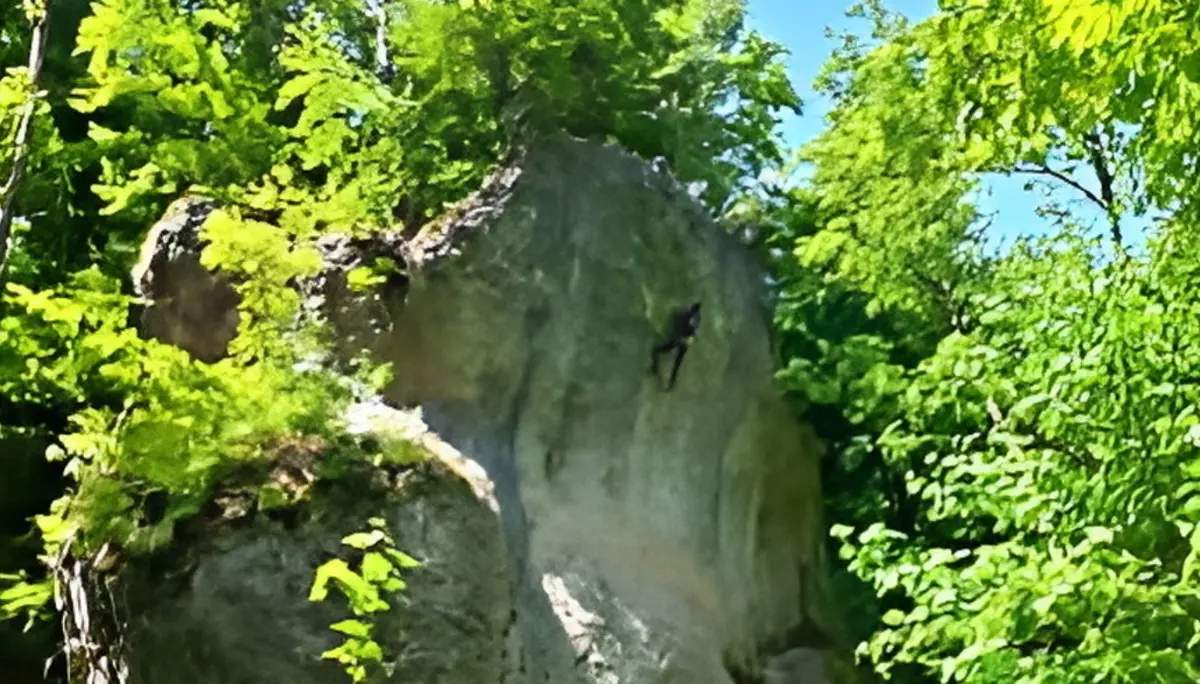 Im Frankenjura (Mai 2025) | © jdav