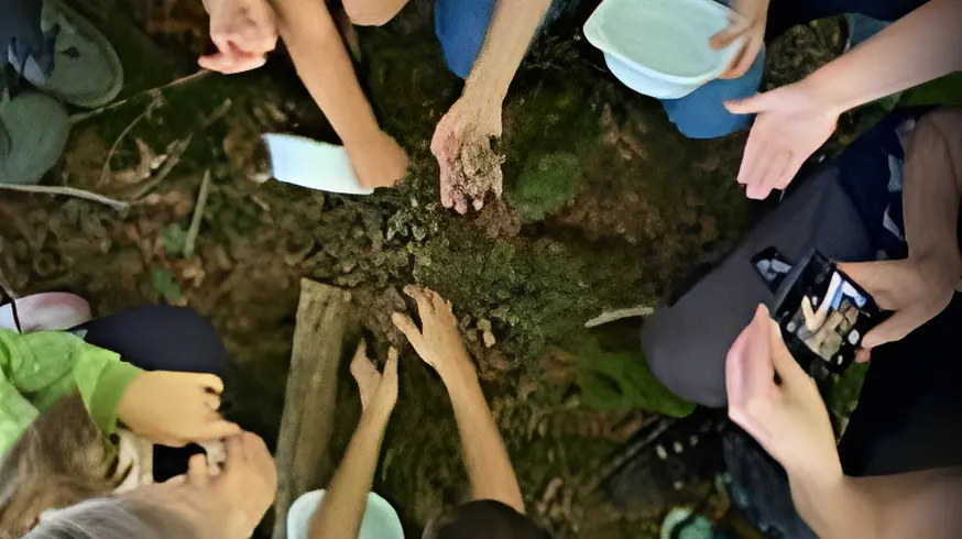 Pilzcoaching in Waldhausen | © jdav