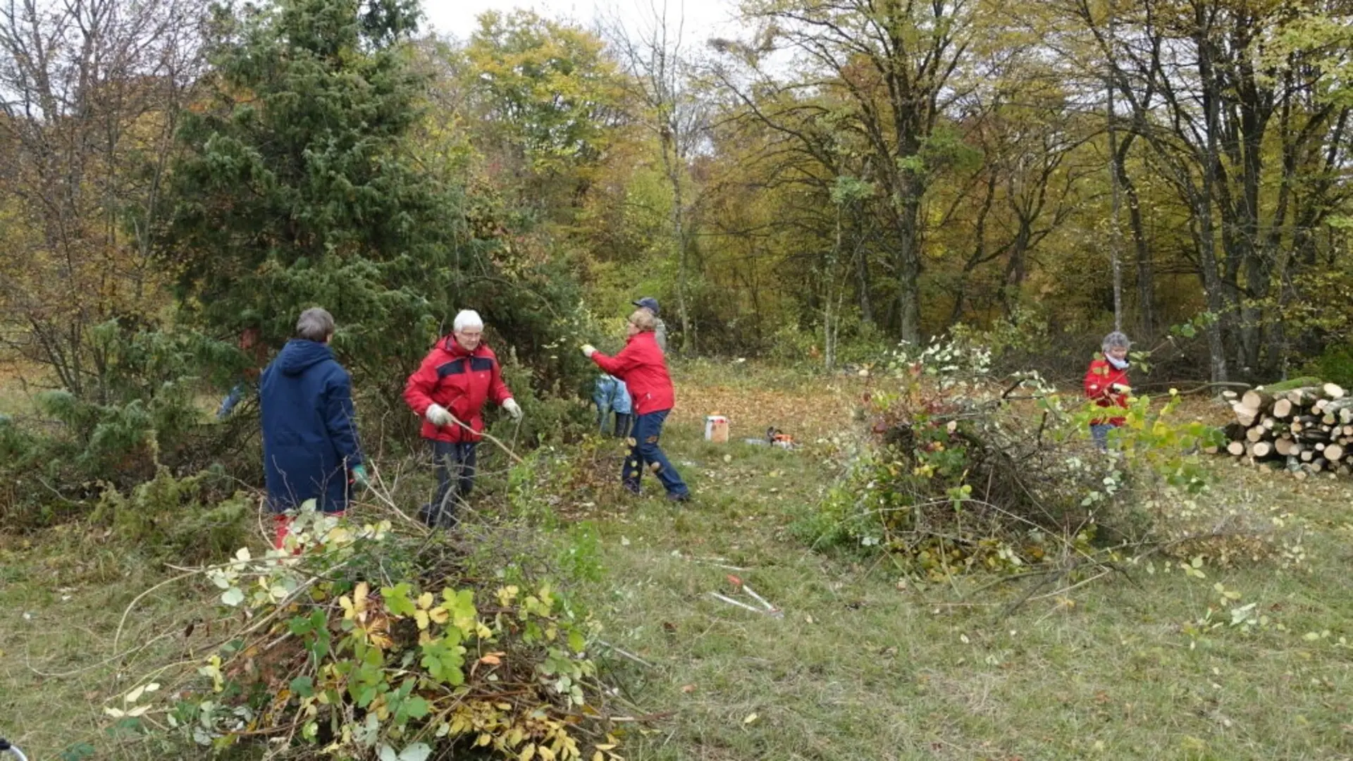 DAV Sektion Geislingen Steige Naturschutz | © DAV Sektion Geislingen Steige 