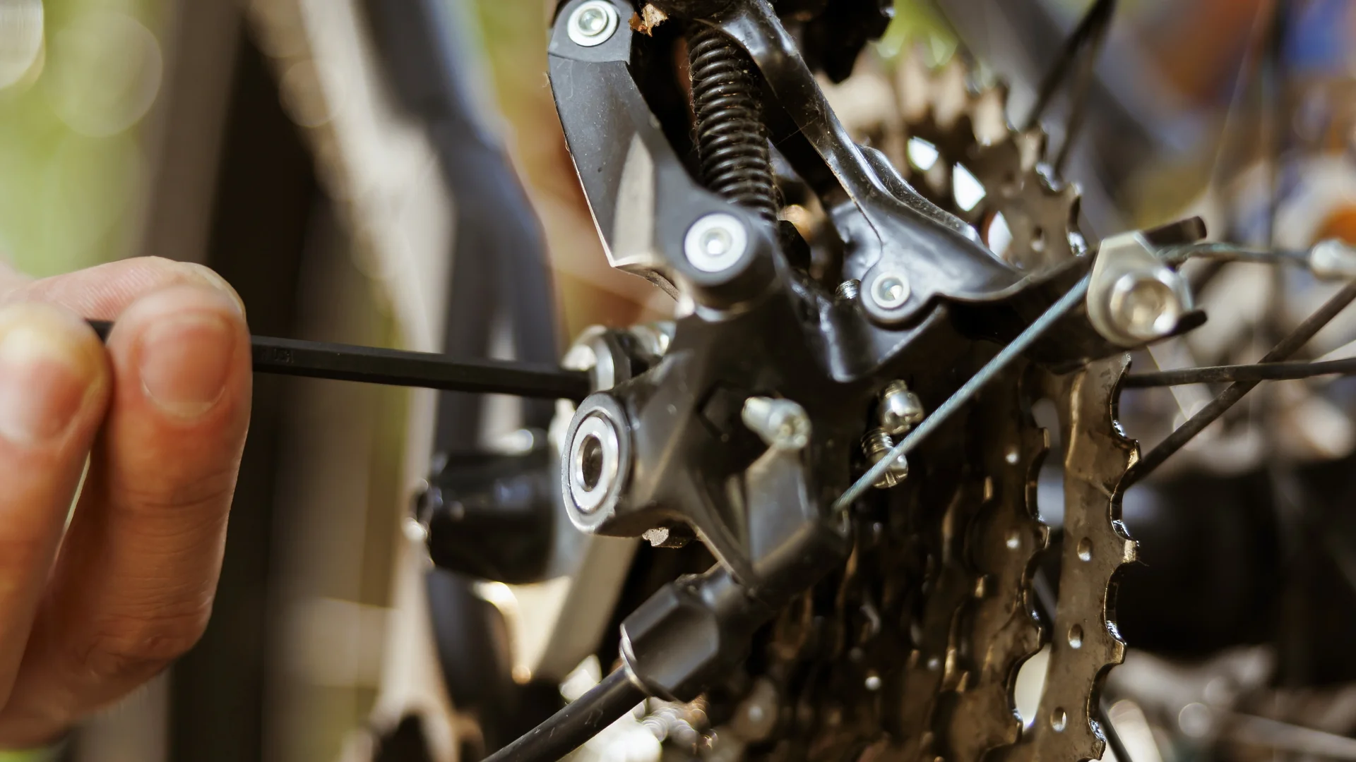 MTB Setup | © Freepik