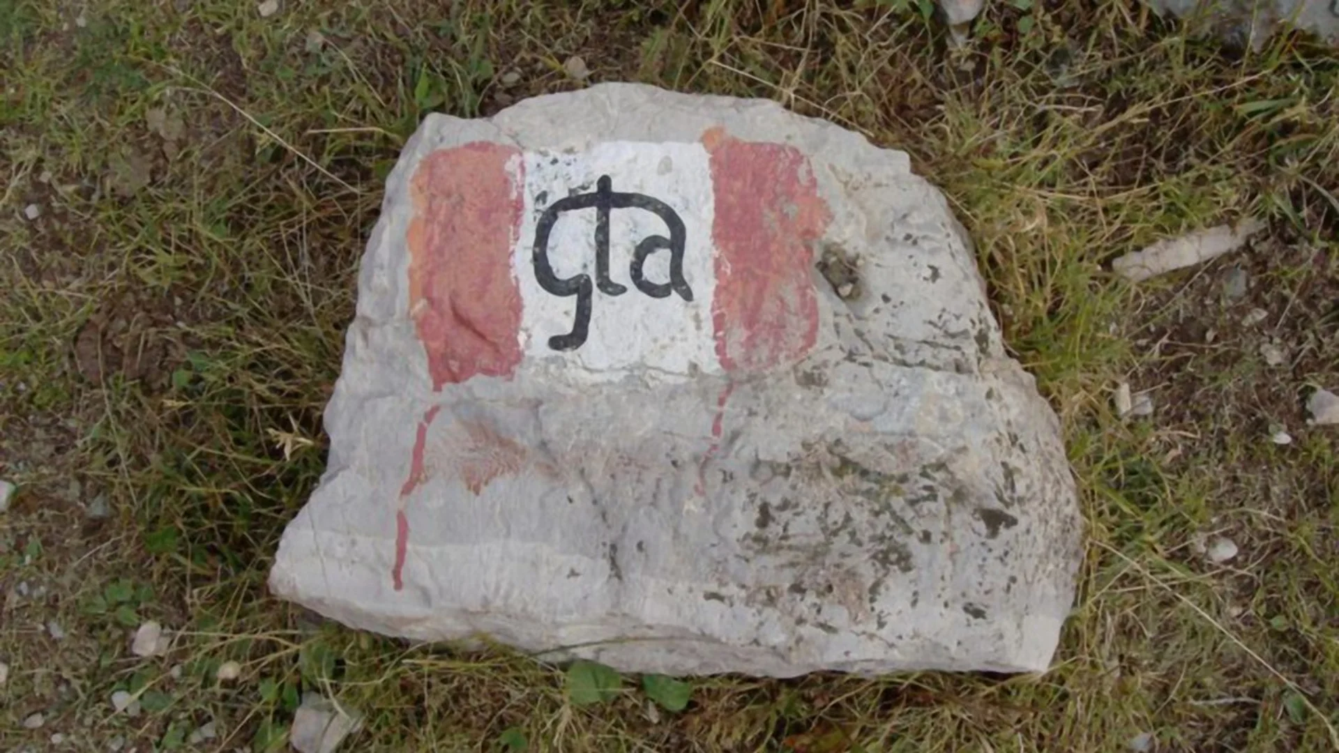 GTA | © Wikipedia, Luca Bergamasco