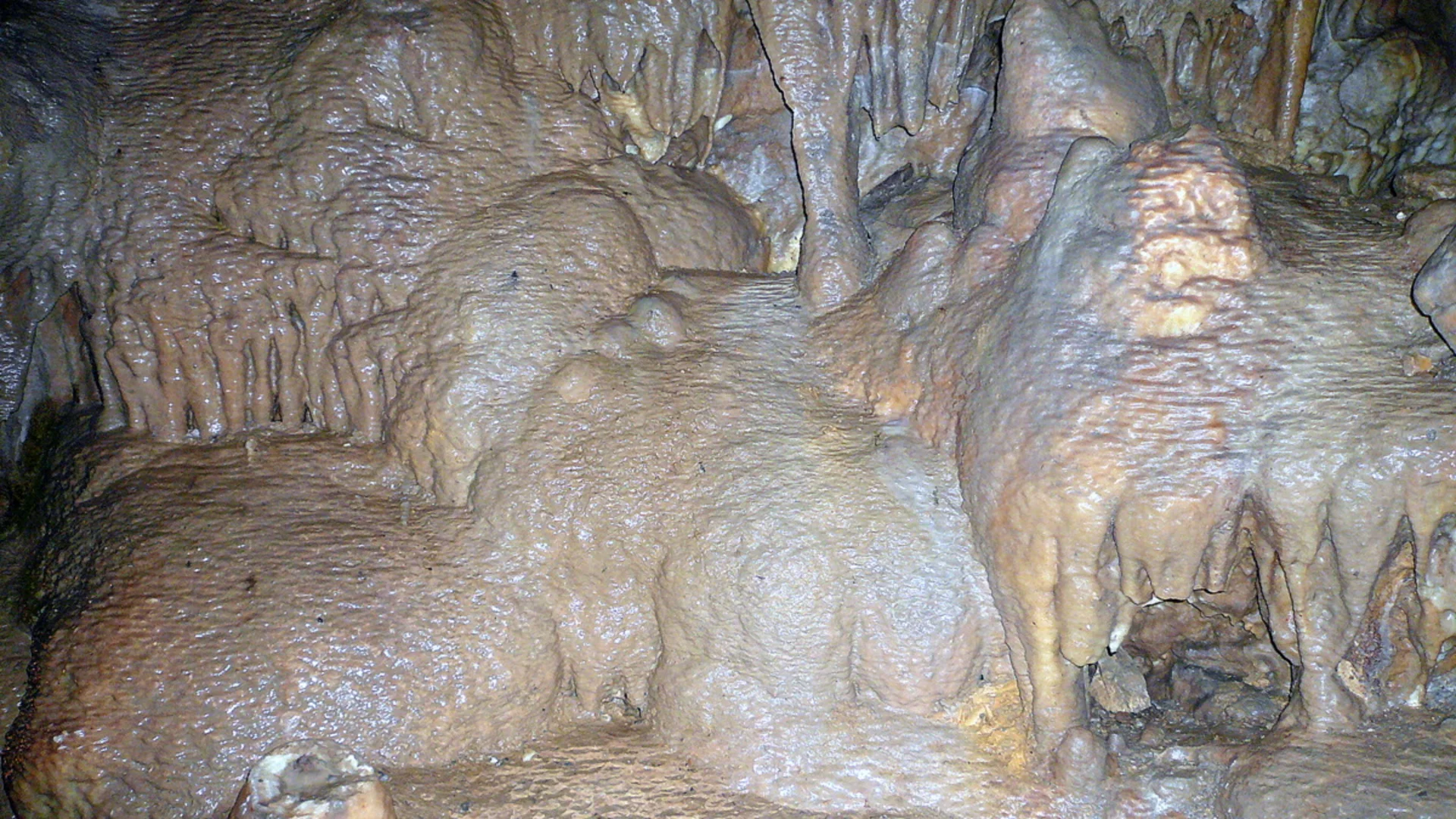 © Rainer Lippert, Wikipedia