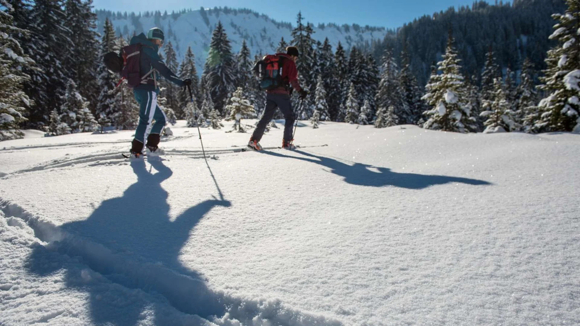 Skitourengeher | © DAV/Daniel Hug