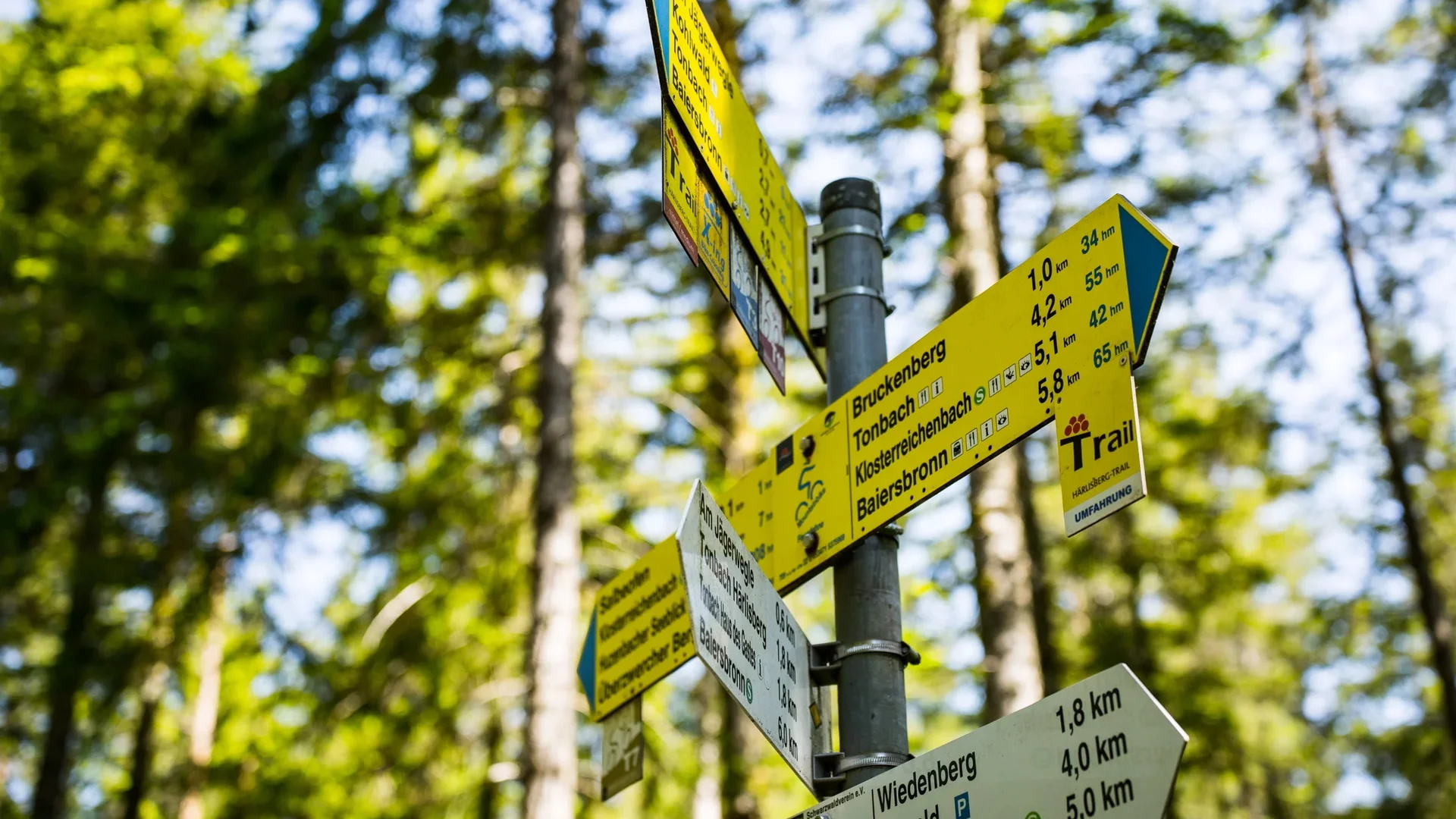 Baiersbronner Bikerhimmel | © Gemeinde Baiersbronn