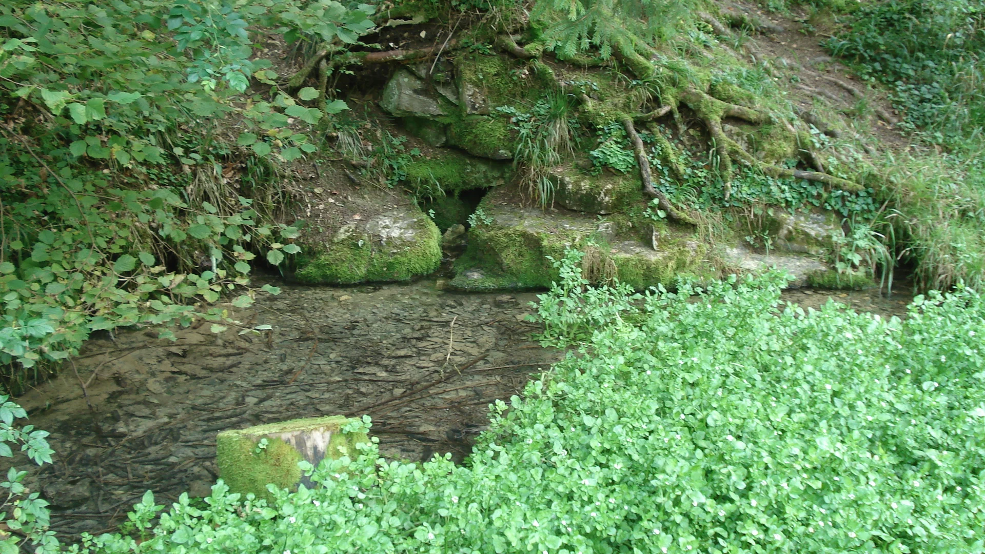 Filsursprung | © Wikipedia