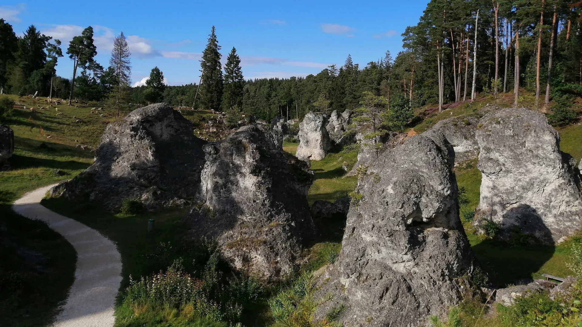 Wental | © Wikipedia