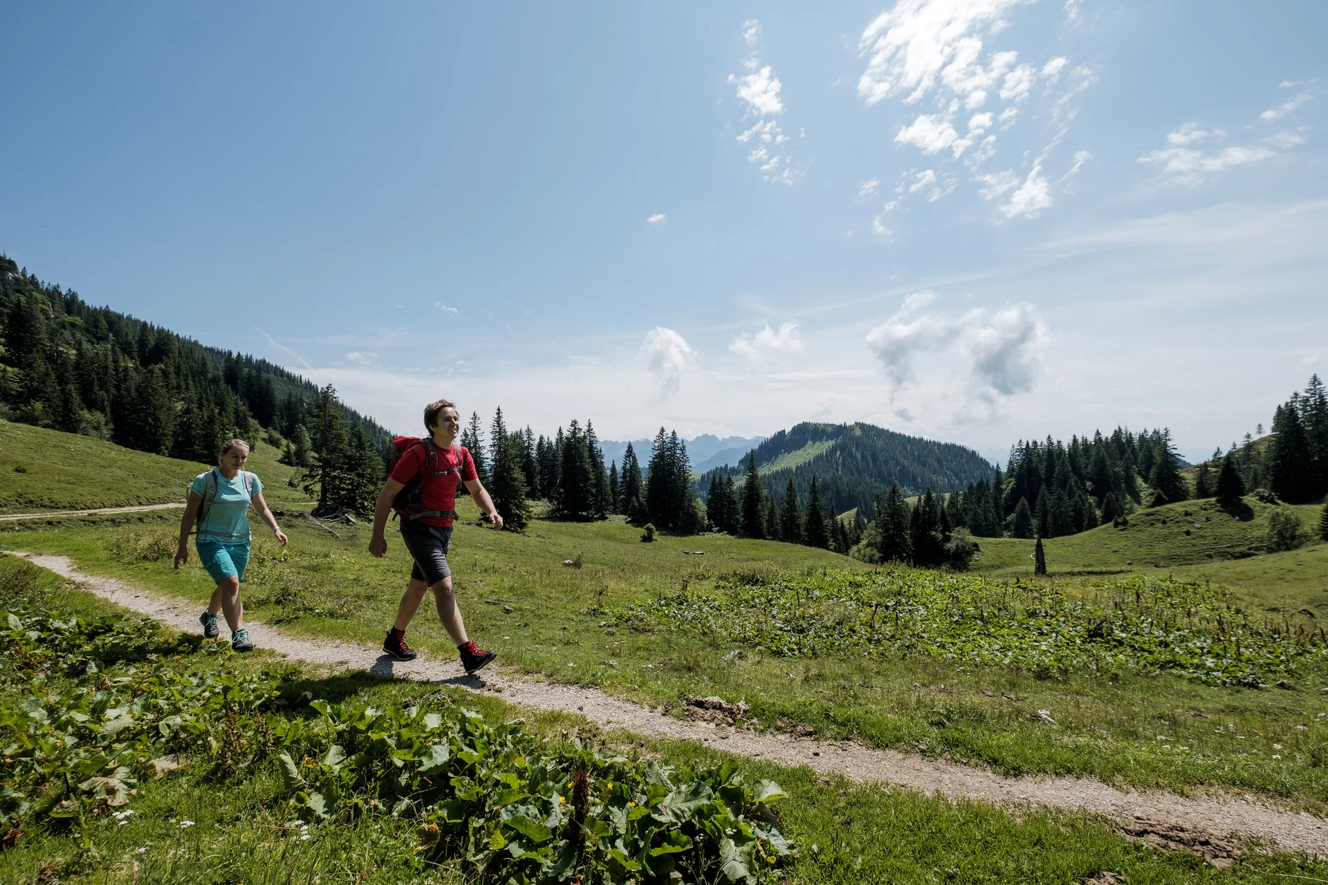 Zwei Wanderer auf einem Bergpfad in den Chiemgauer Alpen | © DAV/Hans Herbig