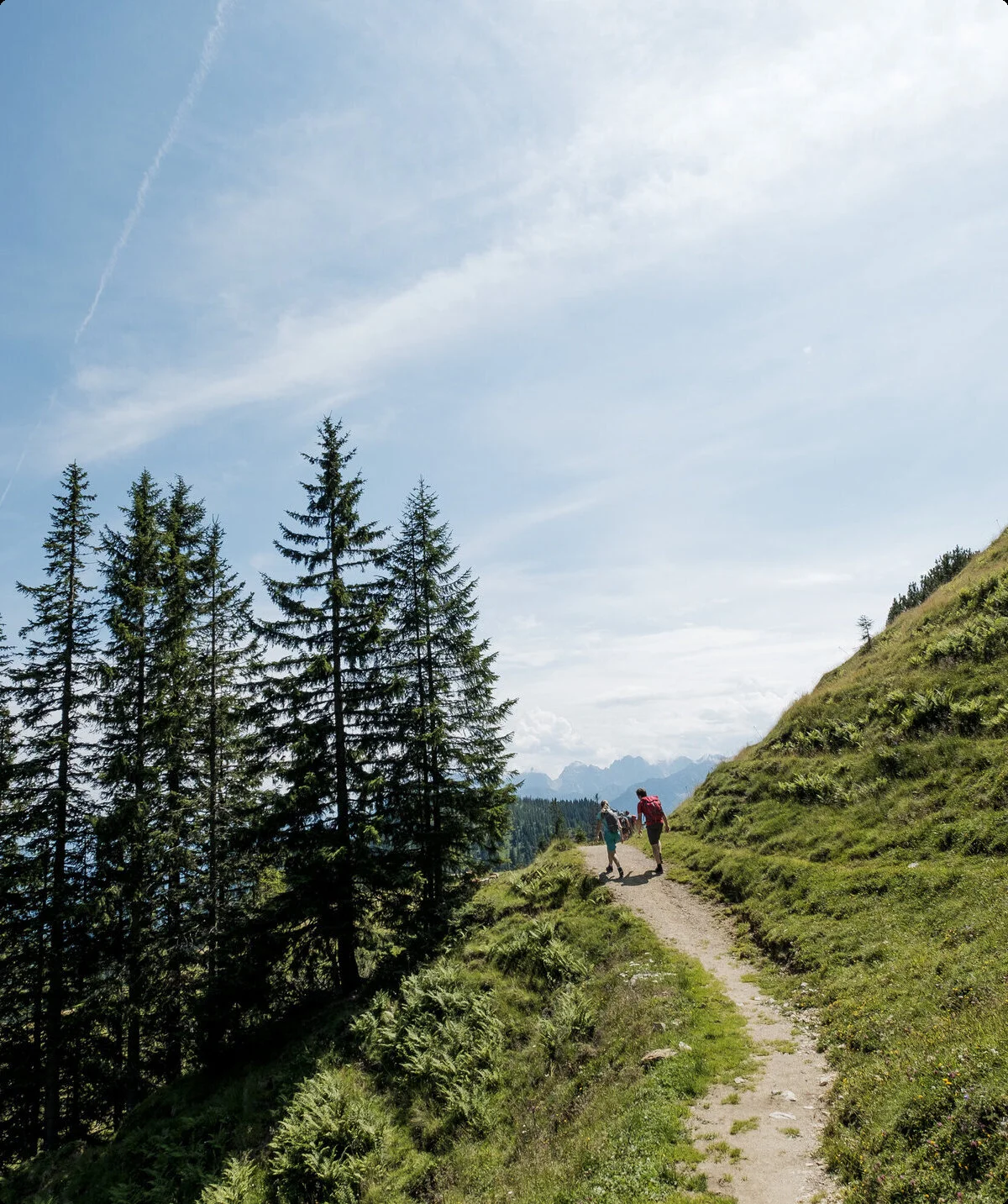 Zwei Wanderer auf einem Bergpfad in den Chiemgauer Alpen | © DAV/Hans Herbig