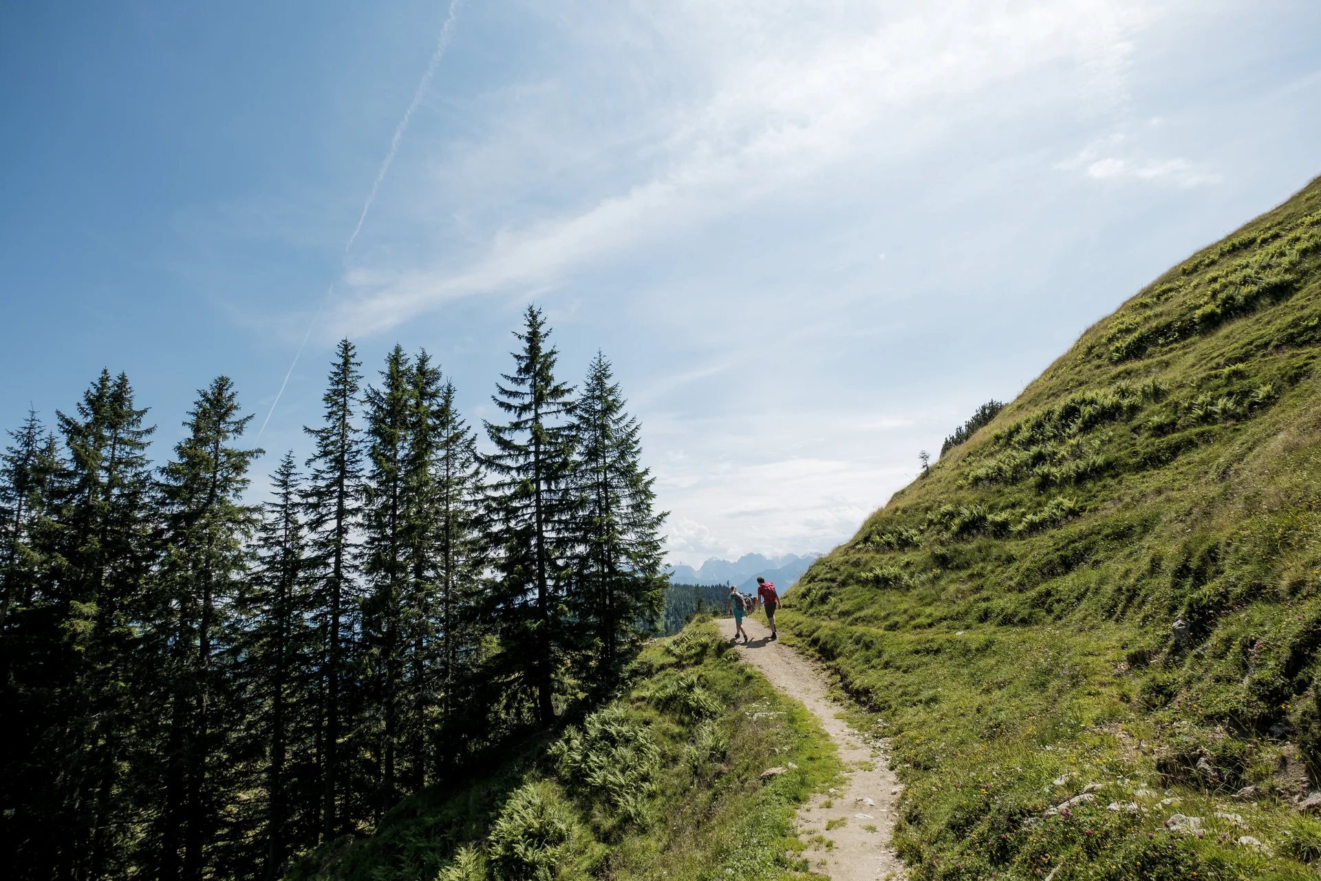 Zwei Wanderer auf einem Bergpfad in den Chiemgauer Alpen | © DAV/Hans Herbig